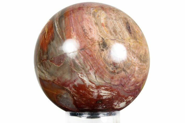 Colorful Petrified Wood (Araucaria) Sphere - Madagascar #229829